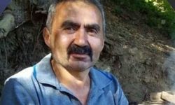 Kestiği ağacın altında kalan adam hayatını kaybetti