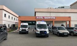 Çifte cinayet: İki yengesini öldürdü