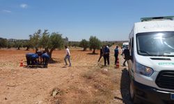Bir genç zeytin tarlasında ölü bulundu
