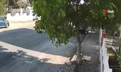 Kuşadası'nda kan donduran olay: Tur otobüsü şoförü sokak köpeğini böyle ezdi