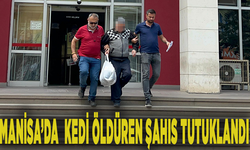 Manisa'da kedi öldüren şahıs tutuklandı