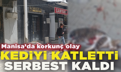 Turgutlu'da sokak kedisini pompalı tüfekle vuran şahıs serbest kaldı