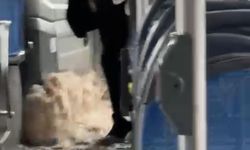 Sağanak yağış nedeniyle biriken su halk otobüsüne taştı