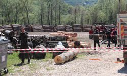 Tonlarca tomruk üzerine devrildi, hastanede hayatını kaybetti