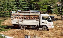 Yayla Göçü Başladı: Arıcılar Sezona “Bal” Gibi Başladı