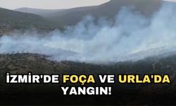 İzmir'de Foça ve Urla'da yangın!
