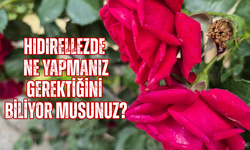 Hıdırellez'de ne yapmanız gerektiğini biliyor musunuz?
