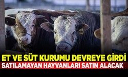 Et ve Süt Kurumu, kurban pazarlarında satılamayan hayvanları satın alacak
