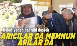 Belediyeden bal gibi destek: Arıcılar da arılar da memnun!