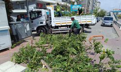 Manisa’da fırtına sonrası hızlı müdahale: Büyükşehir ekipleri sahadaydı