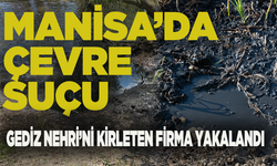 Manisa’da çevre suçu: Tarım arazisine atık döküp nehri kirlettiler