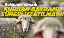 Beklenen olmadı: Kurban Bayramı süresi uzatılmadı!