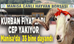 Kurban fiyatları cep yakıyor: Manisa’da kurbanlık fiyatları 35 bin liraya kadar dayandı