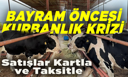 Kurbanlık satışında yeni dönem: Taksitle kuzu, kartla koç!