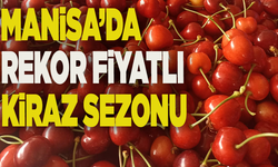 Manisa’da üretici zirai donla sarsıldı, kiraz fiyatıyla teselli buldu