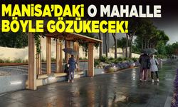 Bozköy’e doğal dokunuş: 1150 metrekarelik rekreasyon alanı geliyor