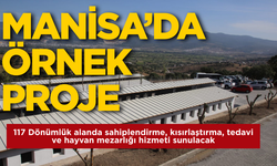 Manisa'dan Türkiye'ye örnek tesis: Hayvanlar için barınak, tedavi, sahiplendirme ve mezarlık tek merkezde