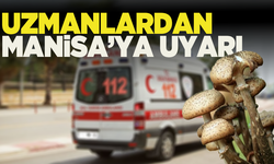 Mantardan zehirlenen 3 çocuk yoğun bakımda! Uzmanlardan Manisa’ya uyarı