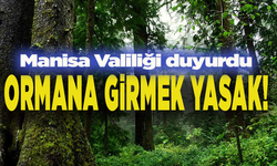 Valilikten kritik karar: O bölgelere artık girmek yasak!