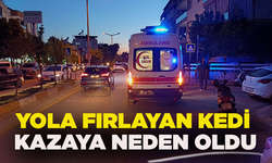 Yola fırlayan kedi kazaya neden oldu