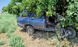 Yoldan çıkan otomobil ağaca çarptı: 1 yaralı