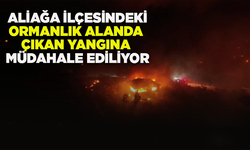 Aliağa ilçesindeki ormanlık alanda çıkan yangına müdahale ediliyor