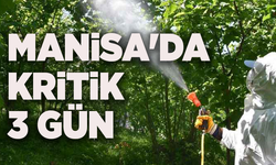 Bağlarda kritik tarihler! Manisa'da kritik 3 gün