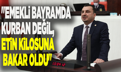 CHP'li Başevirgen: "Emekli bayramda kurban değil, etin kilosuna bakar oldu"