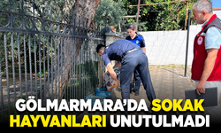 Gölmarmara’da sokak hayvanları unutulmadı