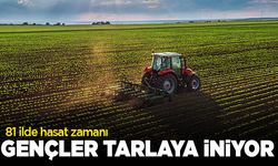81 ilde hasat zamanı! Gençler tarlaya iniyor