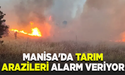 Manisa'da tarım arazileri alarm veriyor: Başkandan uyarı