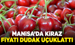 Manisa’da kiraz fiyatı dudak uçuklattı: Kilosu 601 TL’ye satıldı!