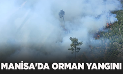 Manisa'da orman yangını: Havadan ve karadan müdahale sürüyor