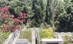 Mezarlıkta bebek cesedi bulundu