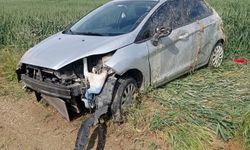Otomobil tarlaya devrildi: 1 yaralı