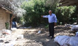 ‘Bu benim en uysal hayvanım' dediği boğa, karayolunda trafiği durdurarak korku dolu anlar yaşattı
