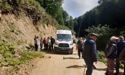 Kontrolden çıkan pat pat, dereye devrildi: 2 yaralı