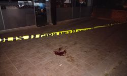 Binanın 3. katının camından aşağı atlayan genç kadın yaralandı