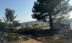 Mangal yakarak orman yangınına neden olan şahıs tutuklandı