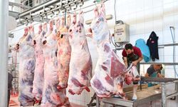 Mezbahada 250 büyükbaş kurban kesimi gerçekleştirildi