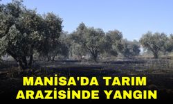 Manisa'da tarım arazisinde yangın