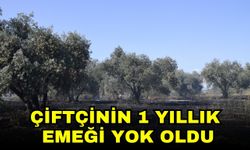 Manisa'da tarım arazisinde yangın