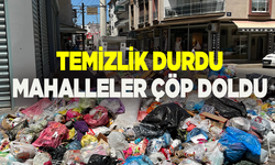 Çöpler birikti, çareyi işten çıkarmakta buldular