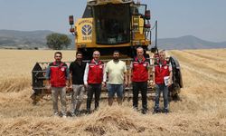 Manisa’da hububat hasadı başladı, biçerdöver denetimleri sıklaştırıldı