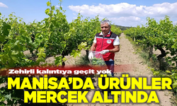 Manisa’da tarladan sofraya güvenli gıda için sıkı denetim!