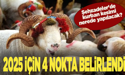 Şehzadeler'de kurban kesimi nerede yapılacak? 2025 için 4 nokta belirlendi