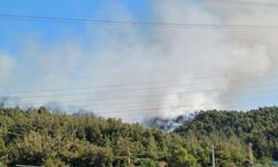 Manisa'da yangın devam ediyor! Müdahale sürüyor