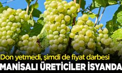 Don yetmedi, şimdi de fiyat darbesi: Manisalı üreticiler isyanda