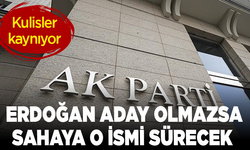 Kulisler kaynıyor!  Erdoğan aday olmazsa sahaya o ismi sürecek