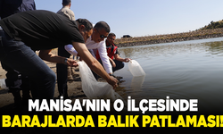 Manisa'nın o ilçesinde barajlarda balık patlaması!